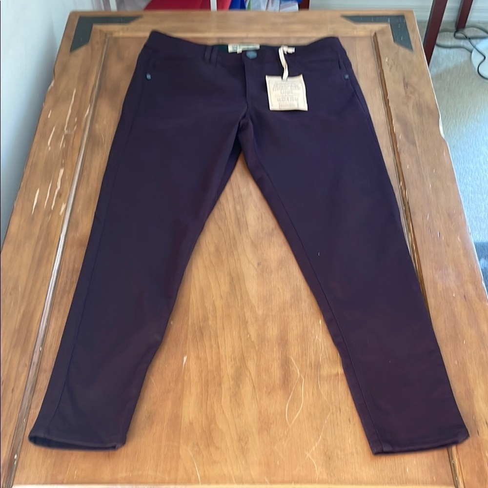 Democracy NWT Ab Technology Freedom Ankle Pants Size 10